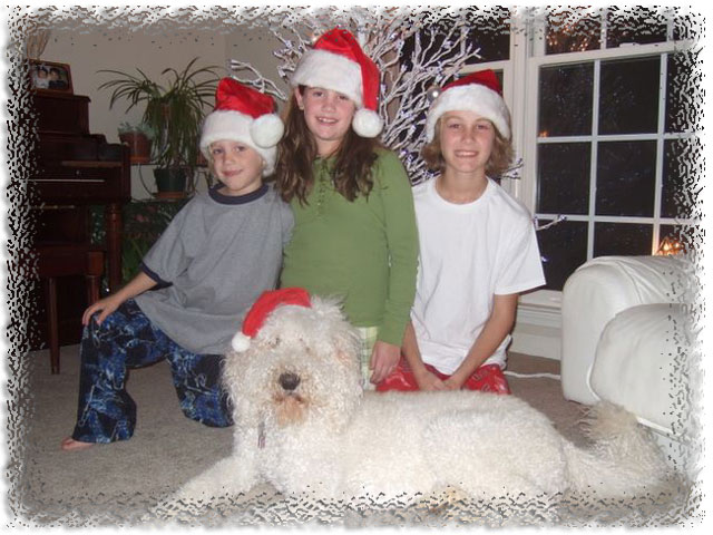 About US Family Kids Christmas Labradoodle - Australian Multigen Labradoodle & Bernedoodle Puppies