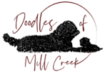 Mill Creek Doodles logo